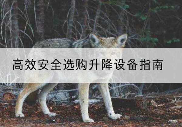 武强升降货梯厂家推荐-*安全选购升降设备指南