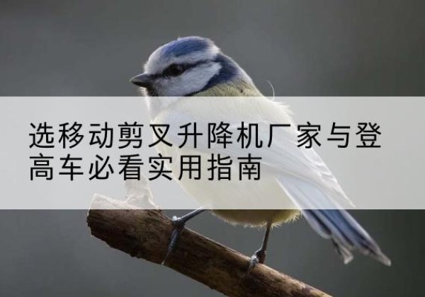 武强电动升降机厂家-选移动剪叉升降机厂家与登高车必看实用指南